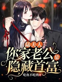 陆夫人,你家老公是隐藏首富