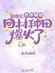 退婚后,我带糊咖回村种田爆火了