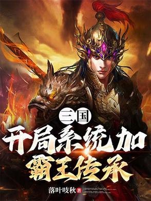 三国:开局系统加霸王传承