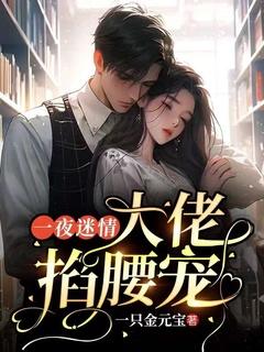一夜迷情:大佬掐腰宠