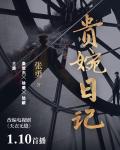 贵婉日记(《天衣无缝》原著小说)
