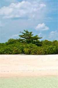 短篇小说阅读军婚甜蜜蜜,兵王他不撒手了