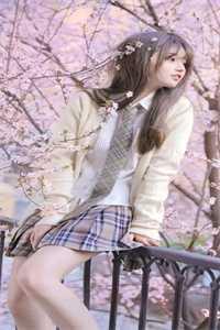 穿越成少主,开局即仙帝全文完结