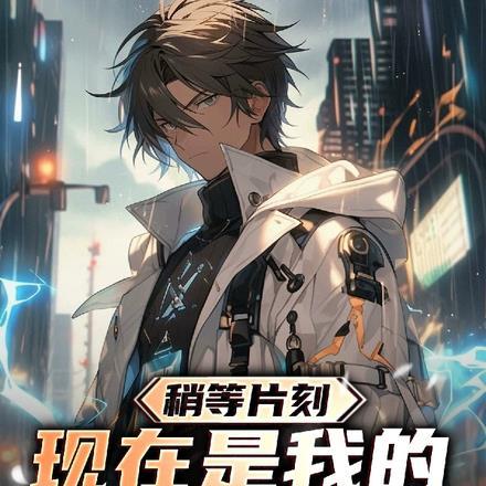 稍等片刻,现在是我的抽卡时间