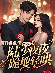 禁止离婚！陆少夜夜跪地轻哄