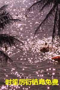 时笙厉衍结局免费