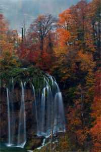 畅销书籍重生直播：击杀就能提升csgo